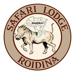 Roidina Safari Lodge